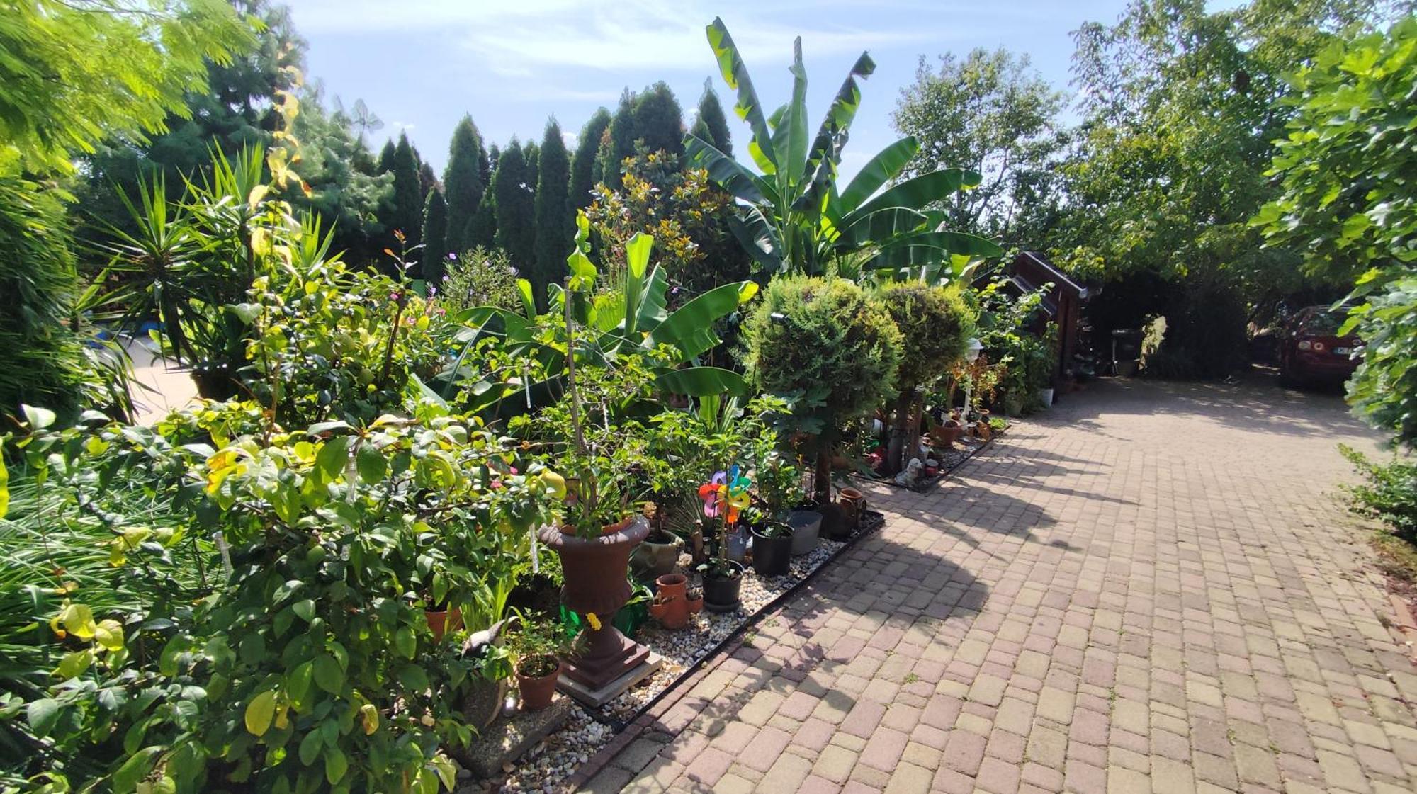 Ferienwohnung Katica Vendeghaz Siófok Exterior foto