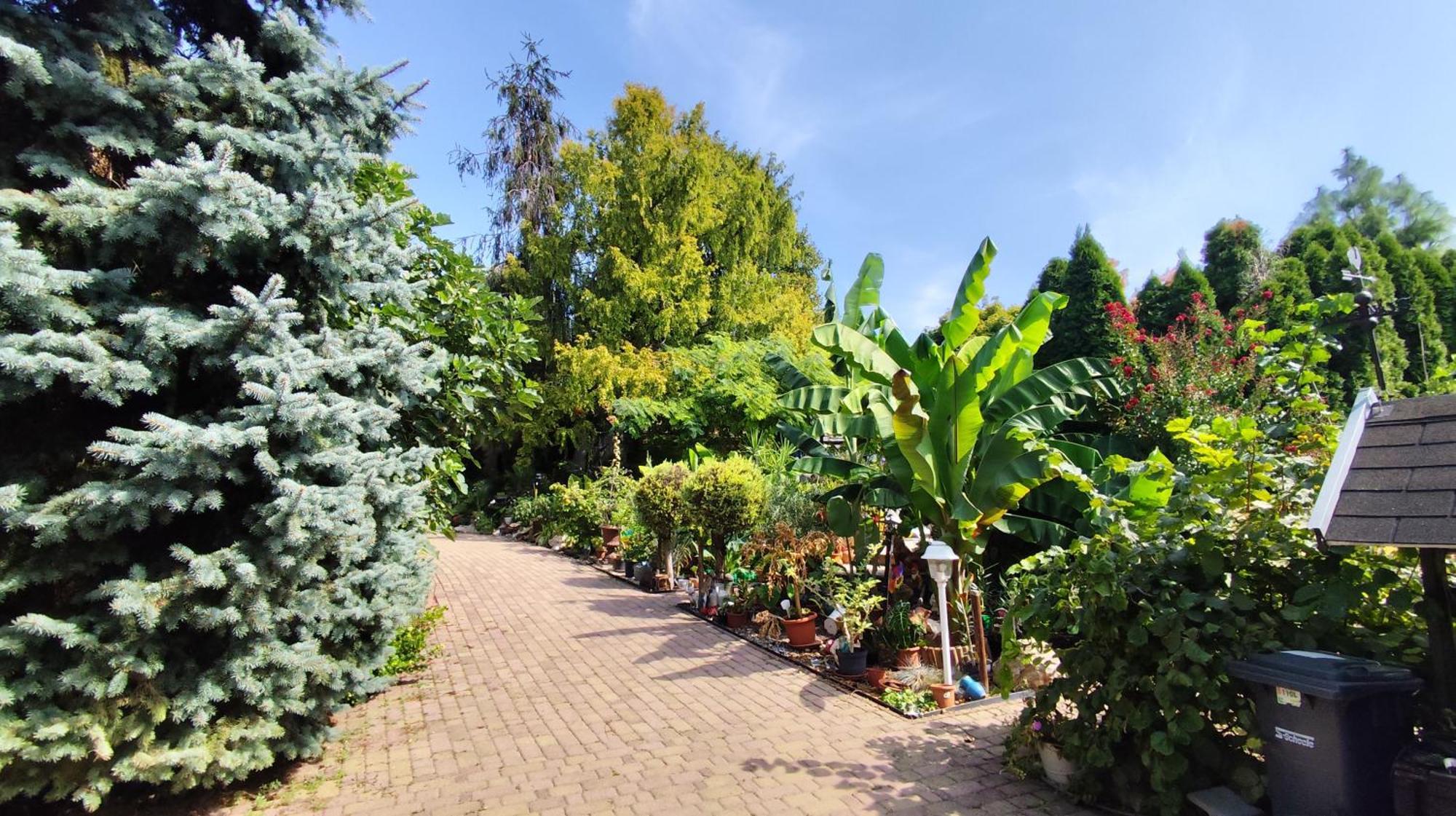 Ferienwohnung Katica Vendeghaz Siófok Exterior foto