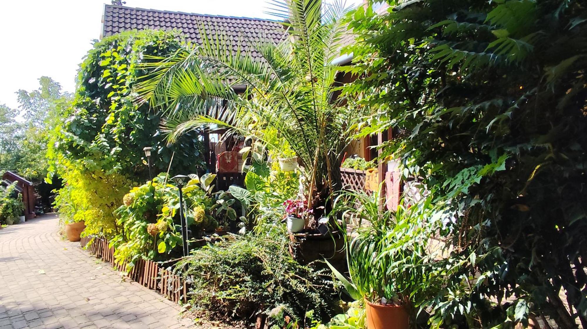 Ferienwohnung Katica Vendeghaz Siófok Exterior foto