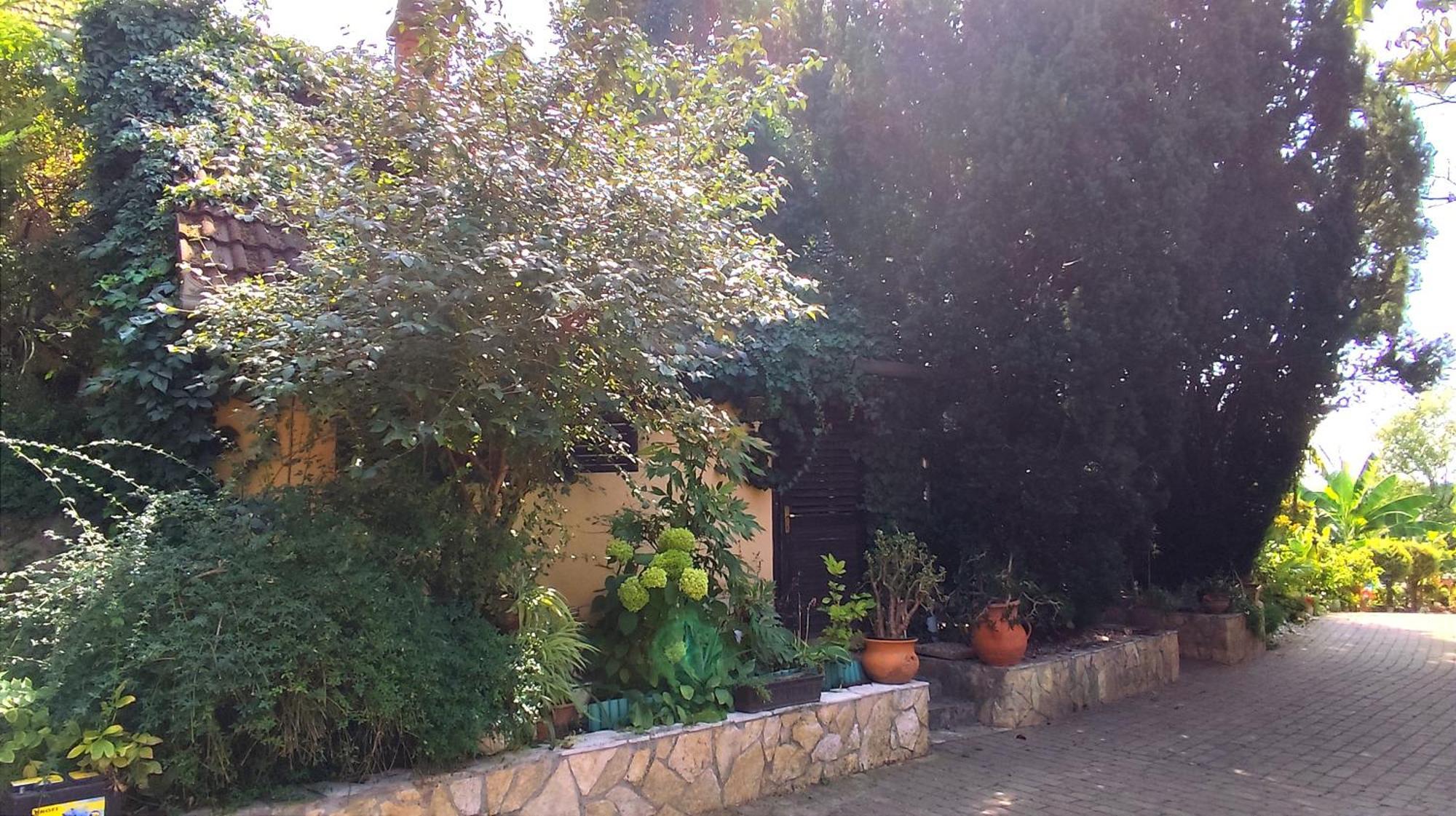 Ferienwohnung Katica Vendeghaz Siófok Exterior foto