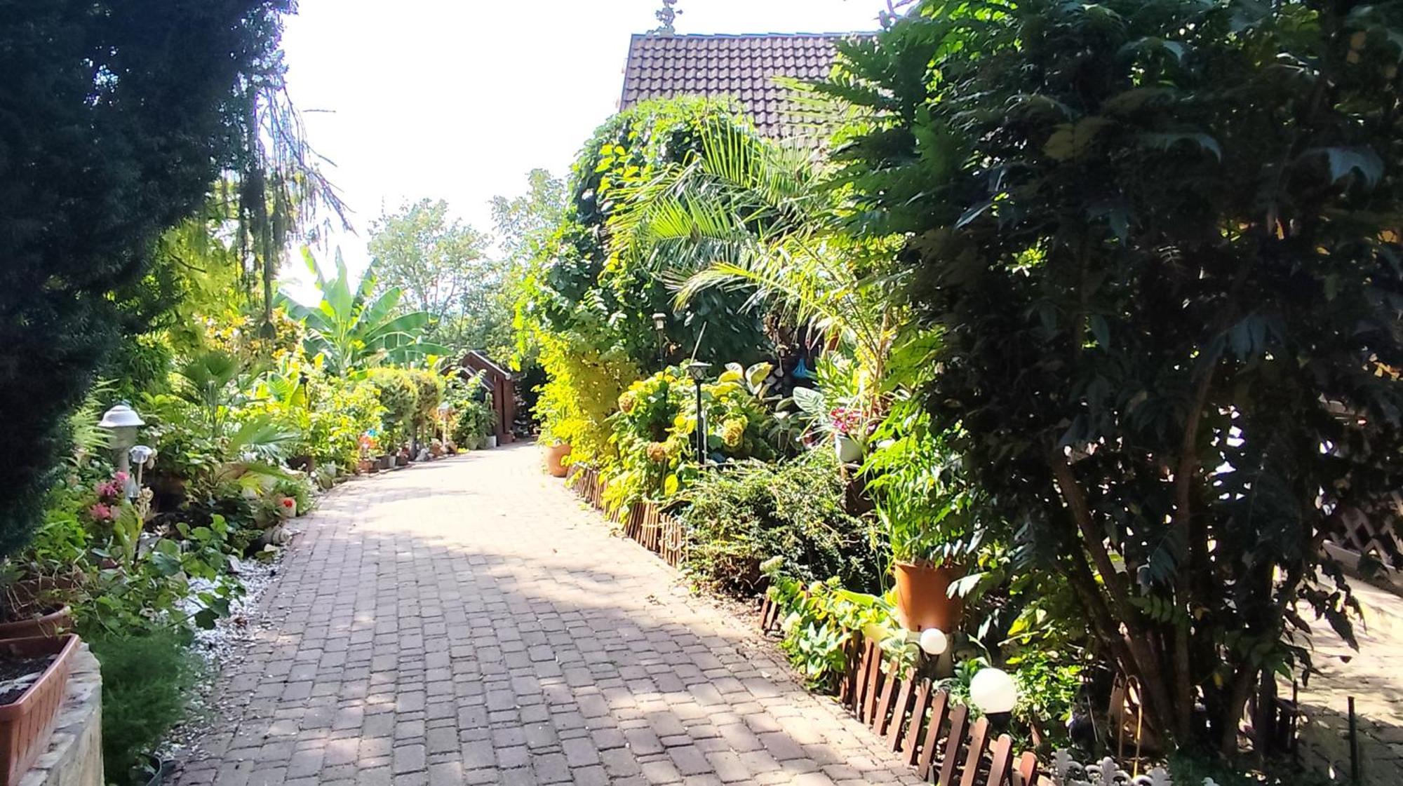 Ferienwohnung Katica Vendeghaz Siófok Exterior foto